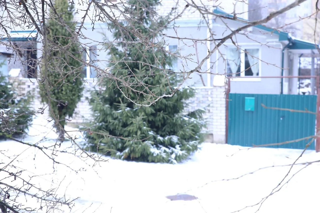 Vip Апартаменты Minsk 0*,  Belarus